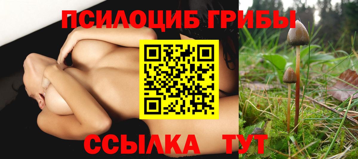 Тавда  где продают   Вход с VPN  Галлюциногенные грибы мицелий  Галлюциногенные грибы мицелий 